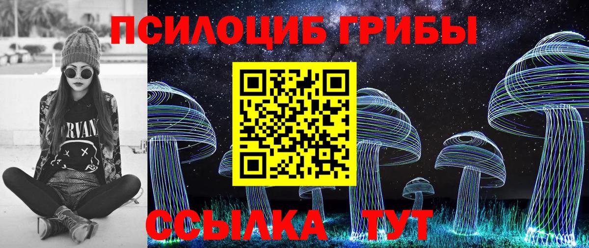 Гулькевичи  Галлюциногенные грибы Psilocybine cubensis  Вход с VPN 